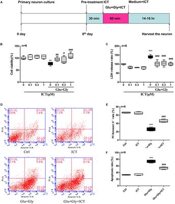 Icaritin Alleviates Glutamate-Induced Neuronal Damage by Inactivating GluN2B-Containing NMDARs Through the ERK/DAPK1 Pathway